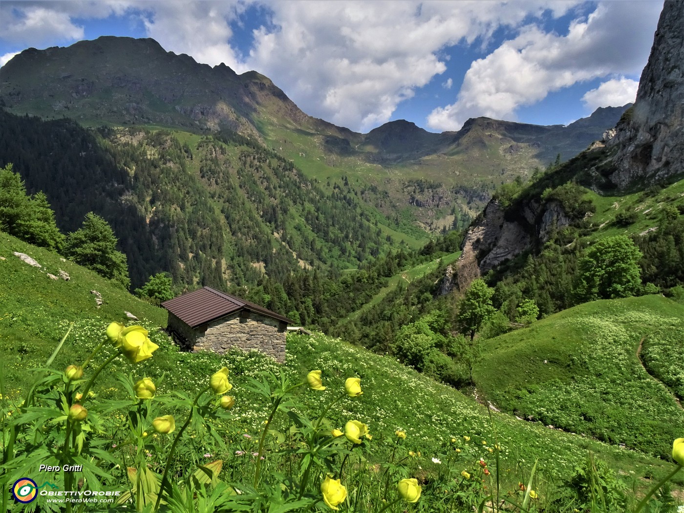 25 Baitella in mezzo ai fiori con in fronte il torrione del Corno Branchino.JPG